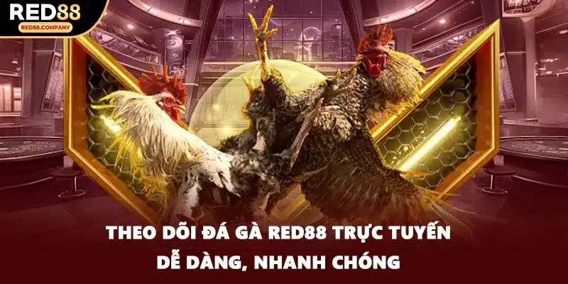 Theo dõi đá gà RED88 trực tuyến dễ dàng, nhanh chóng