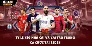 Tỷ Lệ Kèo Nhà Cái Và Vai Trò Trong Cá Cược Tại RED88